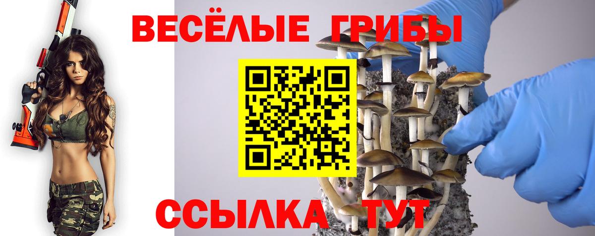 Клин  Псилоцибиновые грибы Magic Shrooms  купить наркотики сайты  Вход с VPN  Галлюциногенные грибы ЛСД 